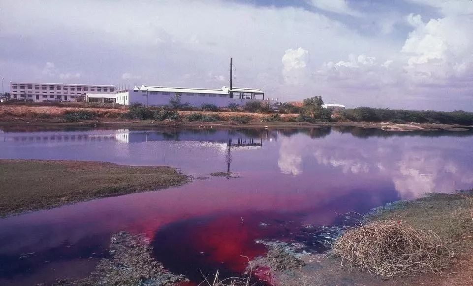 污水處理地方排放標(biāo)準(zhǔn)與污水處理行業(yè)標(biāo)準(zhǔn)按照哪個來？-樂中環(huán)保