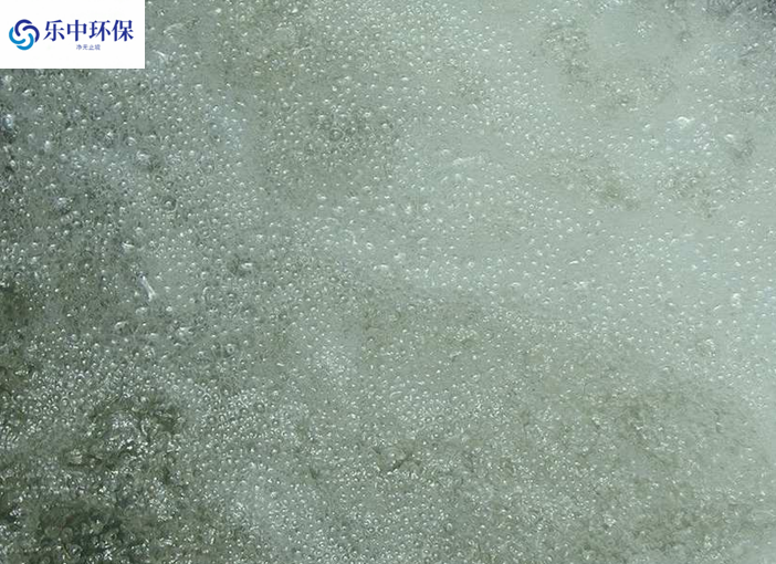 溶氣氣浮機(jī)泡沫多什么原因？如何解決？