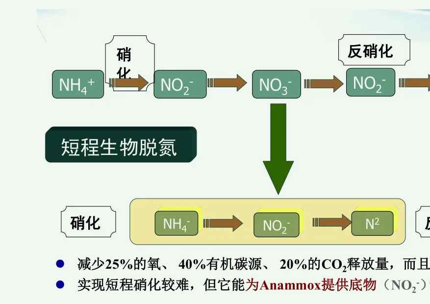 反硝化反應是指什么(污水硝化反應與反硝化原理) 反硝化反應是指什么(污水硝化反應與反硝化原理)